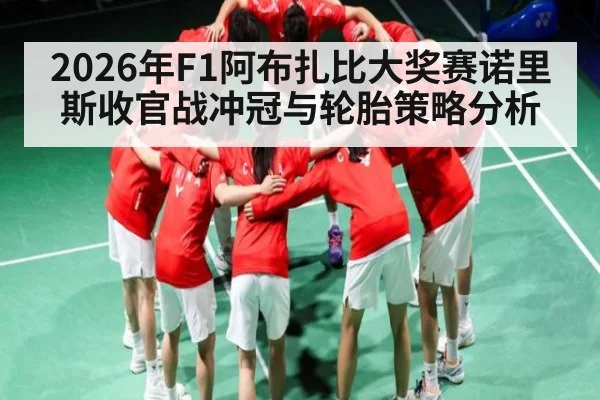 2026年F1阿布扎比大奖赛诺里斯收官战冲冠与轮胎策略分析